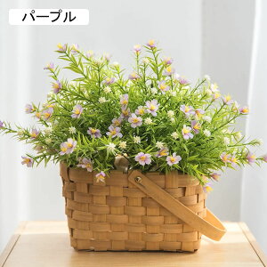  CeA ԕrt ͂Ȃ  p  v[g ԑ x_ Q  A[gt[ Be   X iX  p[eB[ o^Cf[ ̓ tF