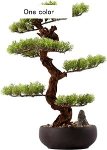 lHϗtA lH~̖͂̏؁A19C`̃tFCNA̐A̋U̖؂̓瑕i̒Az[ItBX̑̂߂̓{̖̏~͍H lH~