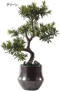 tFCNA lHϗtA T } R ~ I[ig ze L ʘH |[`