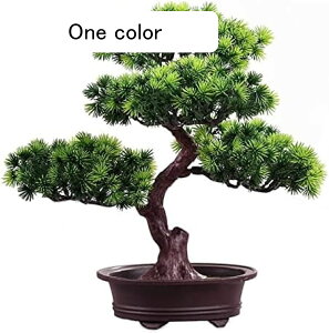 lHϗtA lH~  T lHϗtA  A lHϗtA p fBXvC lH~