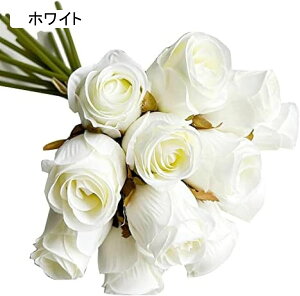  ԑ o 12{ ͂Ȃ  KN  CeA ̓ v[g o^C  t[Mtg bh