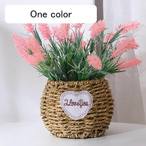 A[gt[   FB ޏ j w  ސEj ʉ j    X iX  p[eB[ Cxg \[vt[ p Xܑp ͂Ȃ