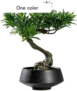 tFCNvg lHA lH~ A̖~ V~[VK[f tFCNvg lH~ ƒp ItBX V[P[X  fXNgbvfBXvC lHϗtA