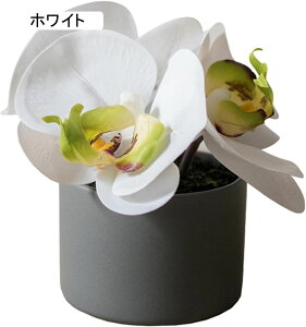 Ӓ  CeA ԕrt ͂Ȃ ~j A ~ {ɂ    Be v[g j  a rO x_  iX t[ u