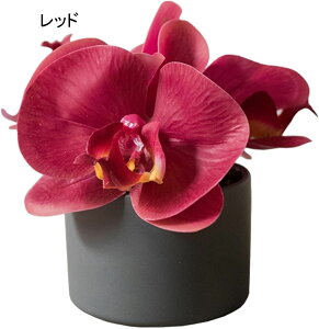 Ӓ  CeA ԕrt ͂Ȃ ~j A ~ {ɂ    Be v[g j  a rO x_  iX t[ u