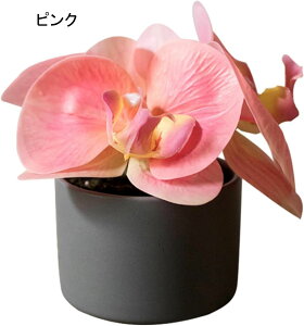 Ӓ  CeA ԕrt ͂Ȃ ~j A ~ {ɂ    Be v[g j  a rO x_  iX t[ u