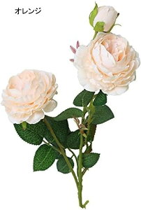  CeA CeAt[ a v[g  I[ig OA ԑ  lHŨEGX^[Yt[OuC_u[P̉Ƃ̑