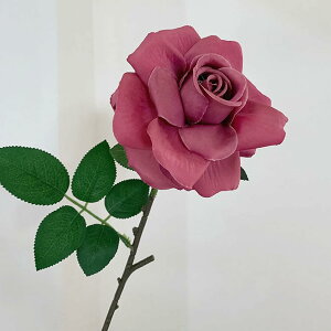  ͂Ȃ A[gt[ [Ybh 6{ o KN ΂  CeA tFCN v[g Mtg Ǝ a EFfBO  Be ] o^Cf[ Be p