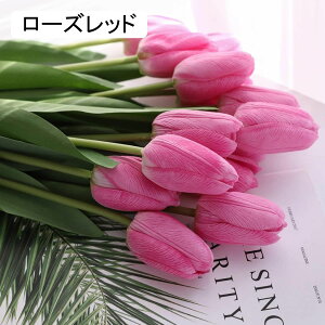  ͂Ȃ A[gt[ 15{ 󓍐F+F `[bv  u[P CeA tFCN v[g Mtg Ǝ a EFfBO  Be ] o^Cf[ Be