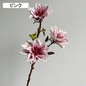 }OmA  ͂Ȃ A[gt[ bh 1{  CeA tFCN v[g Mtg Ǝ a EFfBO  Be ] o^Cf[ Be p z[ 