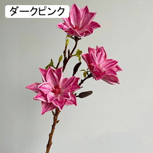 }OmA  ͂Ȃ A[gt[ bh 1{  CeA tFCN v[g Mtg Ǝ a EFfBO  Be ] o^Cf[ Be p z[ 