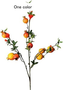  \[vt[ [YoXPbg ̓ v[g  CeA ̓ zCgf[ a LO 搶̓ [YK[ft[t[cu[PtFCNfR[V