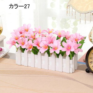  x_[ ԍ F30cm ϗtA {ɂ Mtg CeA v[g j  rO x_  뉀 Lb` iX u ͂Ȃ z̉  