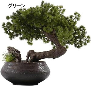 p̐lHϗtA lH~̓c[AtFCNȂAA̐lHϗtAAfXNgbvz[fR[Vp̓{̏A13.8C` U̐A