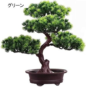 lHA~ lH~  T lHϗtA  A lHϗtA p fBXvC A̋UA