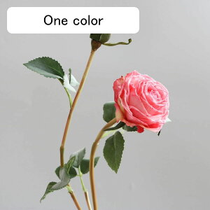 o  ͂Ȃ A[gt[ F 1{ KN  CeA tFCN v[g Mtg Ǝ a EFfBO  Be ] o^Cf[ Be p z[ 뉀