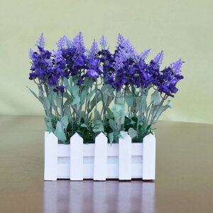  x_[ ԍ F15cm ϗtA {ɂ Mtg CeA v[g j  rO x_  뉀 Lb` iX u ͂Ȃ z̉  