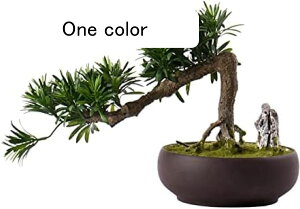 p̐lHϗtA lH~ tFCNvg tFCNO[pC~ {I ̑ 11.8C` U̐A