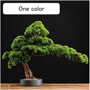 lHϗtA 15C`lH~͋Sn̗ǂ̖؁AV~[VA̐Ȃn~́ÃrO[VbvɎgpU̖؂̓ lH~