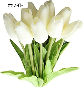  `[bv ͂Ȃ 10{Zbg A[gt[ ԑ  ϏܐA CeA tFCNt[ lHA  蕨 LO hV̓ v[g  Be ̓ j