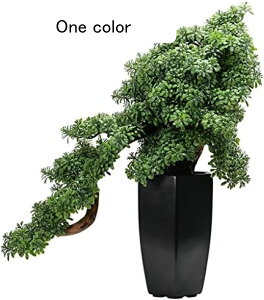 lHϗtA lH~̖͂̏؁AA̐A̋Ԃ̑iA~̗͂΂̐ẢƂ̃ItBX̃fXNgbv̔Ȃ lH~