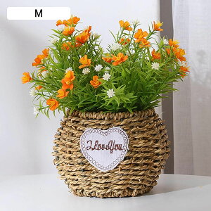 A[gt[   FB ޏ j w  ސEj ʉ j    X iX  p[eB[ Cxg \[vt[ p Xܑp ͂Ȃ