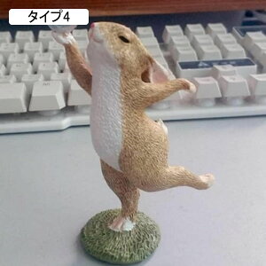 ETM̒u  Aj}IuWF K[f ̏ I[ig ETM̃IuWF CeAIuWF G k K[f IuWF K[fjO CeA L[g ގ