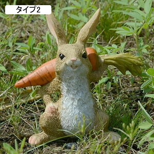 ETM̒u  Aj}IuWF K[f ̏ I[ig ETM̃IuWF CeAIuWF G k K[f IuWF K[fjO CeA L[g ގ