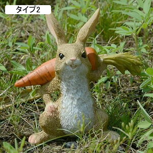 ETM̒u  Aj}IuWF K[f ̏ I[ig ETM̃IuWF CeAIuWF G k K[f IuWF K[fjO CeA L[g ގ