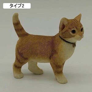 K[fjOG K[fjO u L AeB[N i`   Aj} ~j K[f G A IuWF    f  ̑ fBXvC I[i