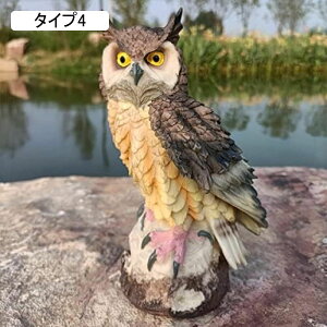 u  낪ɂ₩ O̒̑    F ӂ낤 | tNE i fR[V  A K[fI[ig ^Cv ގ Aj}IuW