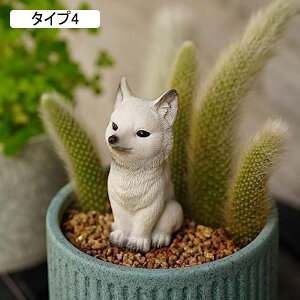 L u  K[fjO L ^Cv2 u  ˂̒u IuWF Lu H|i | Aj}IuWF F ObY K[fI[ig Jg[ K[fj