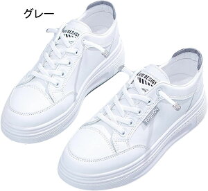 _bhXj[J[ Xj[J[ fB[X i[XV[Y wlC EH[LOV[Y JWAV[Y X|[cV[Y fbLV[Y Sn ₷ 傫TCY  ItB