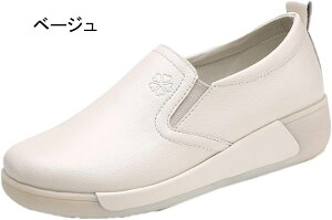 V[Y fB[X ₷ ₷ ɂ TChSA JV Xb| [t@[ RtH[g Xb| EFbW\[ _炩 y fB[X Xb|V