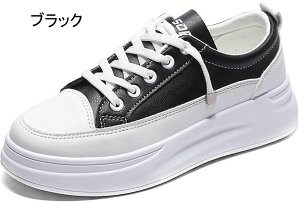 y Xj[J[ fB[X  [Jbg ₷ y EH[LOV[Y fB[X ʋ ʊw h Xj[J[  X|[c [XAbvV[Y JWA ₷ 