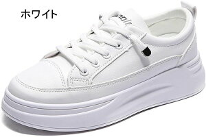 y Xj[J[ fB[X  [Jbg ₷ y EH[LOV[Y fB[X ʋ ʊw h Xj[J[  X|[c [XAbvV[Y JWA ₷ 