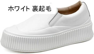 y Xj[J[ fB[X  ؂ ₷ y EH[LOV[Y fB[X ʋ ʊw [q[ tbgV[Y  X|[c RȂXj[J[ JWA f[g 