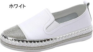 Xj[J[ fB[X [JbgXj[J[ rW[ y r TChSA ₷ fB[XC LL ubN zCg CXg[ [q[ JWA WMO 