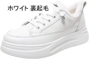 Xj[J[ [t@[  [XAbv tbgV[Y N ̌C C [XAbv n EhgD  킢 y  r V[Y C fB[X JWAV