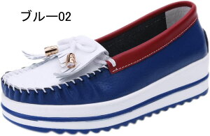 Xb| fB[X [t@[ EhgD  JV i[XV[Y ؂񂱌C ₷ ɂȂ ~ ₷ JWAV[Y wlC ʋ ʊw Vv 