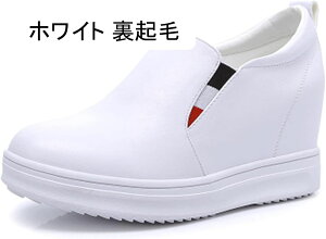 Cq[Xb| RȂ ӂӂC\[ Xb| Xj[J[ EH[LOV[Y JWAV[Y fB[X EH[LO ʋ C ɂȂ ₷ WMO