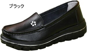 fB[X JV [t@[ tbgV[Y Xb| }}V[Y RtH[g  ʋC JWA t  H JWAV[Y _炩 RtH[g ItBX ₷ 