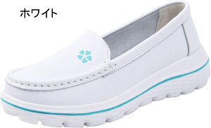 fB[X JV [t@[ tbgV[Y Xb| }}V[Y RtH[g  ʋC JWA t  H JWAV[Y _炩 RtH[g ItBX ₷ 