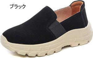 Xj[J[ JWA EH[LOV[Y fB[X Xb|  y RtH[g ʋC 傫TCY Xj[J[ _炩 NbV ~ EhgD ʊw w C 