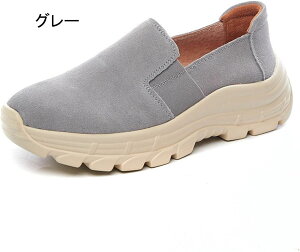 Xj[J[ JWA EH[LOV[Y fB[X Xb|  y RtH[g ʋC 傫TCY Xj[J[ _炩 NbV ~ EhgD ʊw w C 