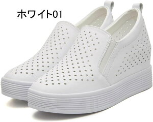 Xb| fB[X  t ʋC Xj[J[ [Jbg Cq[ Ȃ JWAV[Y 7.5cm q[ s 傫TCY EhgD t  V[Y d 