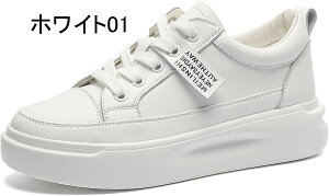 Xb| Xj[J[ fB[X    [t@[ [Jbg C TChSA  JWAV[Y tbgV[Y 4.5cmq[ Xj[J[ [XAbvV[Y s