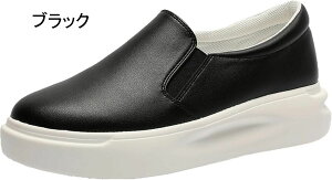 Xb| Xj[J[ fB[X    [t@[ [Jbg C TChSA  JWAV[Y tbgV[Y 4.5cmq[ Xj[J[ [XAbvV[Y s