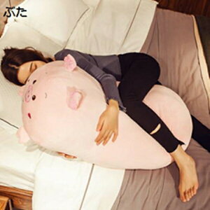 w15-30%OFF ʂ  ܂ D YQ w  NbV    킢 G @\ a LbY NX}X CeA \t@[ 