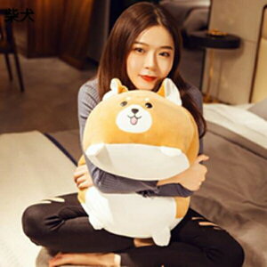 w15-30%OFF ʂ  ܂ D YQ w  NbV    킢 G @\ a LbY NX}X CeA \t@[ 